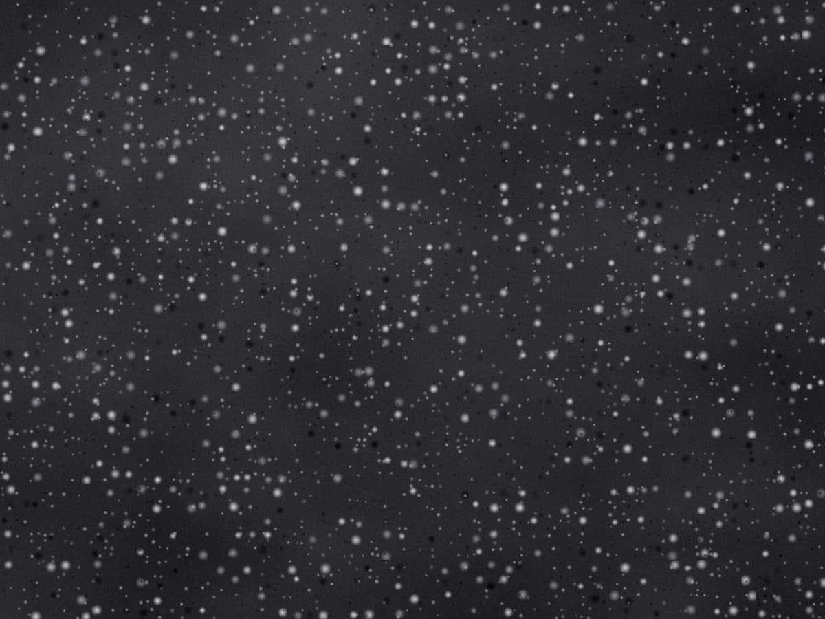 Coin Black granite slab surface