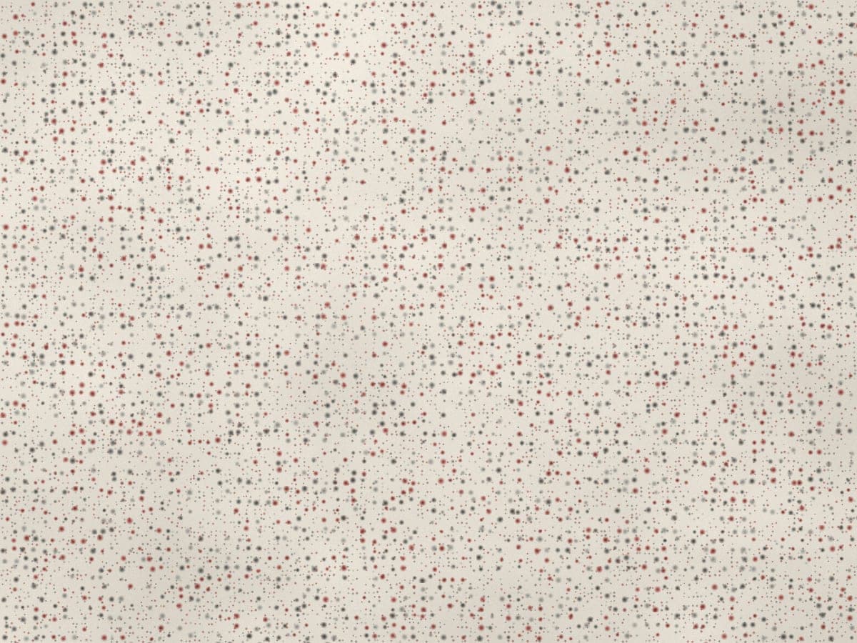 Kashmir White granite slab surface