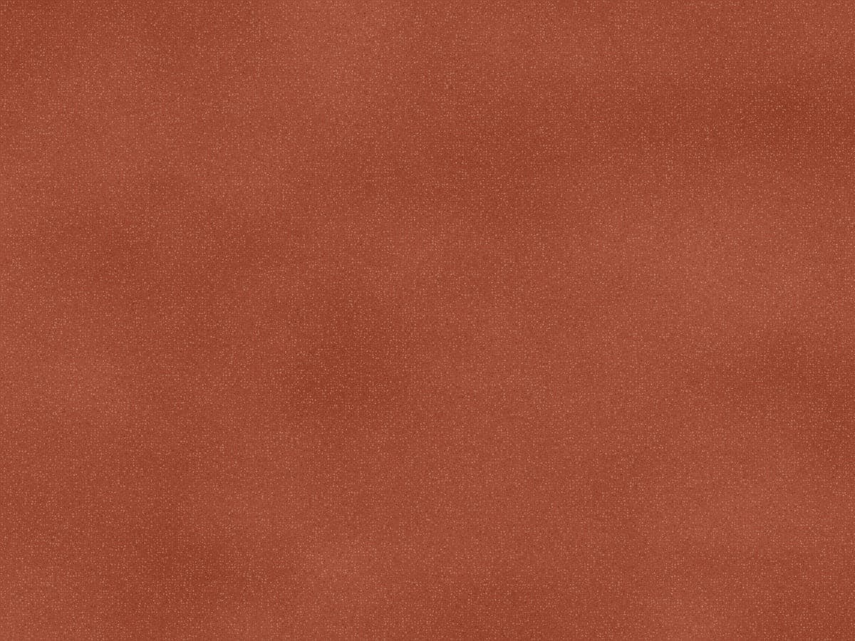 Agra Red sandstone slab surface